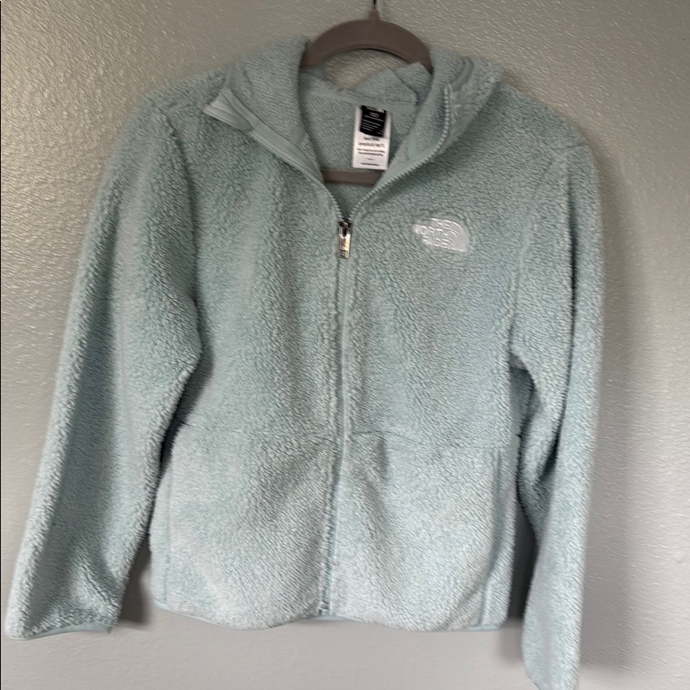 The North Face Light Blue Fleece Jacket